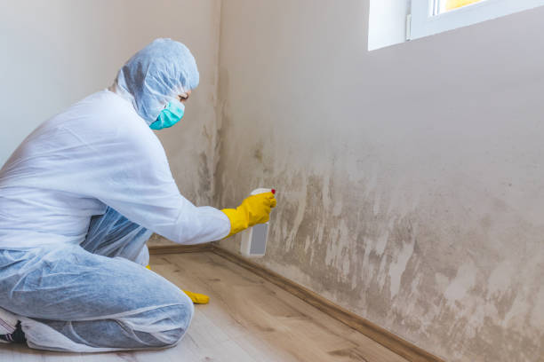 Bathroom Mold Removal assessment in Valrico bathroom